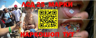 стаф Краснодар