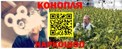 стаф Краснодар