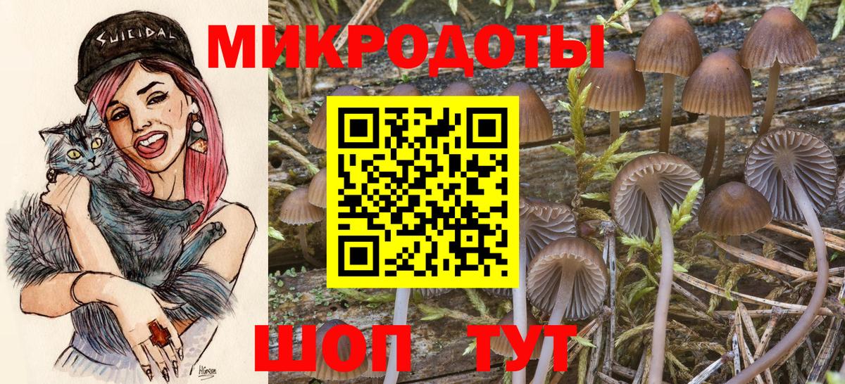 Галлюциногенные грибы Psilocybine cubensis  Вход с VPN  Карпинск 
